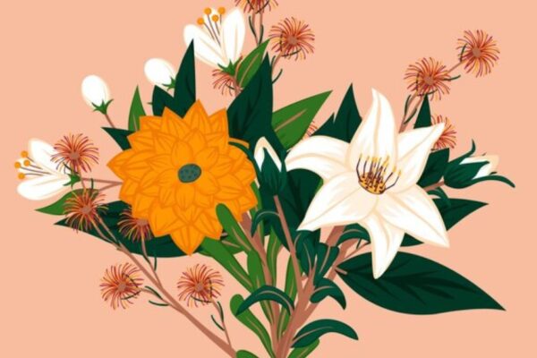 Coit Tower Daylily: A Hidden Gem in San Francisco’s Blooming History coit tower daylily