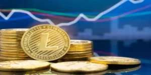 Crypto30x.com Dis