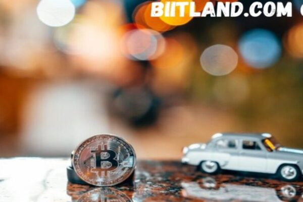 Exploring Biitland.com Digital Assets