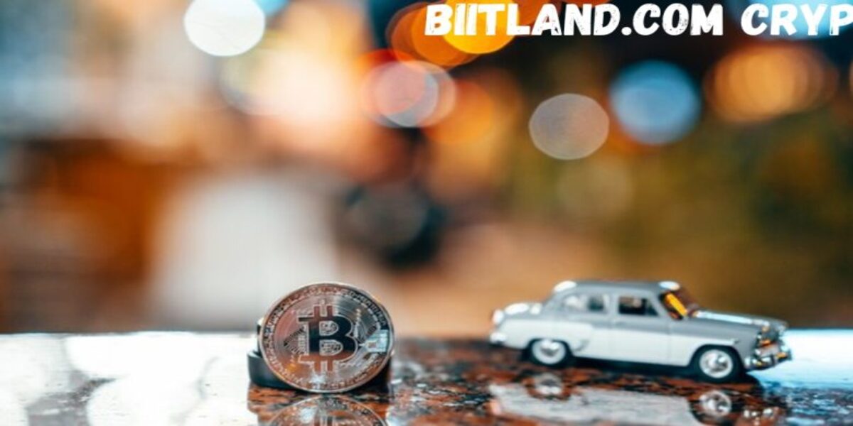 Exploring Biitland.com Digital Assets